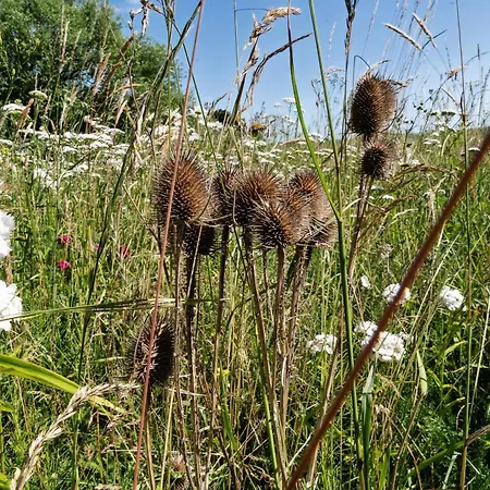 With Lillebaelt As Neighbour And A View Over Fields Haderslev